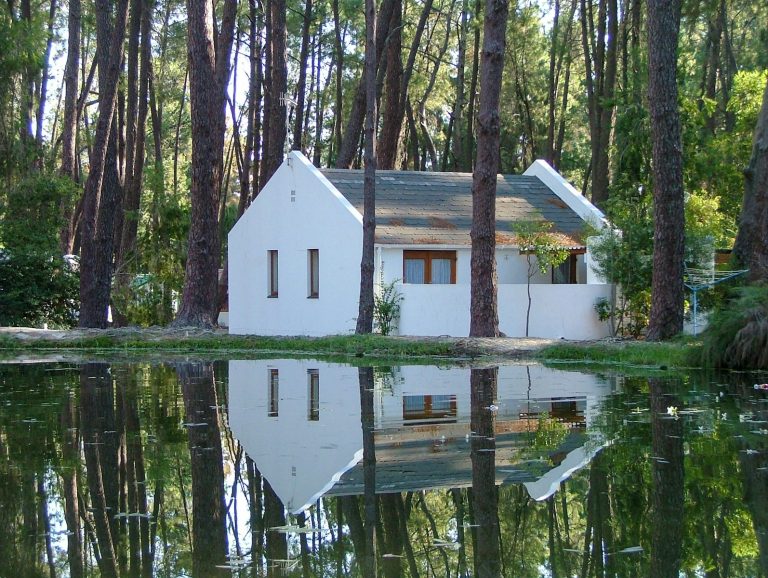 white house on forest
