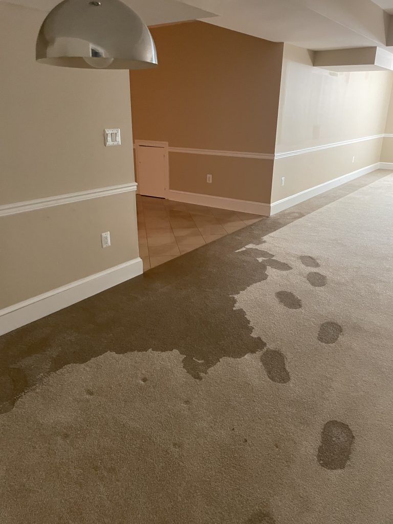 Water-damaged carpet showing wet patches and footprints leading away, indicating a recent leak or spill in a residential space.
