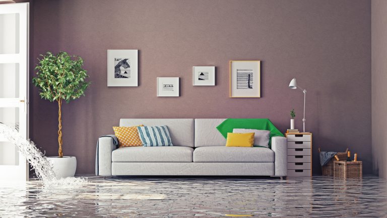 Flooded living room with water pooling around a gray sofa adorned with colorful pillows. Potted plant and framed artwork on the wall.