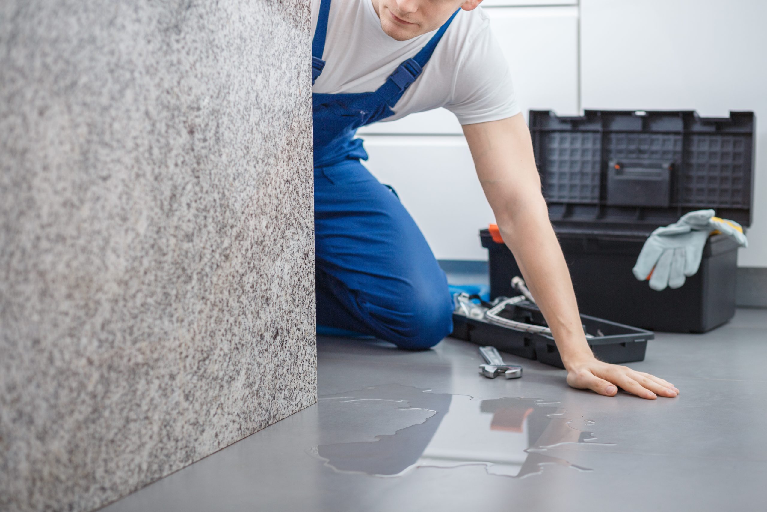 Plumber with toolbox looking at water on the floor from broken dishwasher; Shutterstock ID 795751345; purchase_order: Pro Serv; job: ; client: ; other: